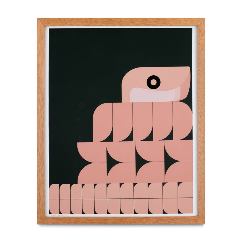 Serpiente Enroscada Banak Framed