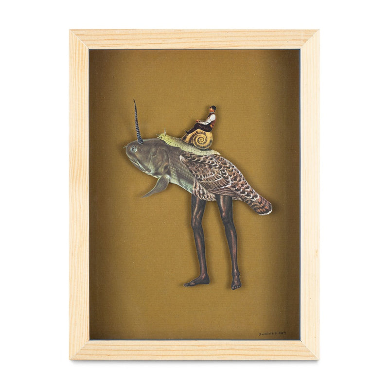 Gasteropodipes Eques