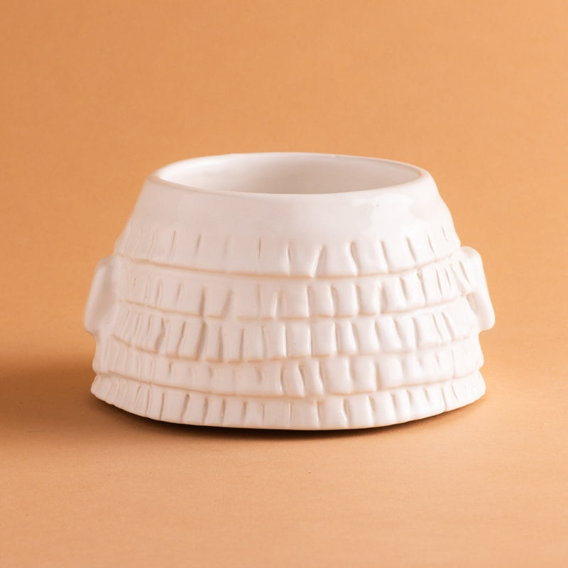 White Maceta Piñata