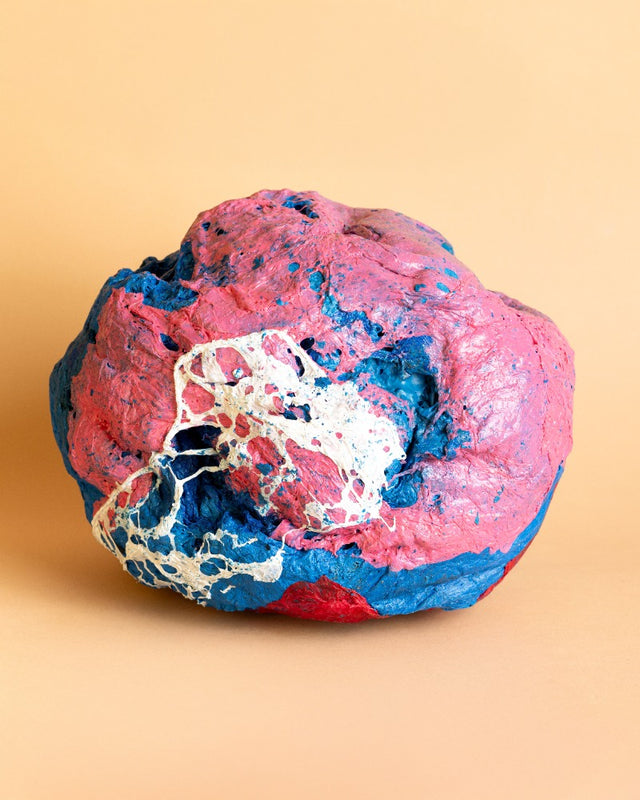 Bolsón Chicle IV, 2025