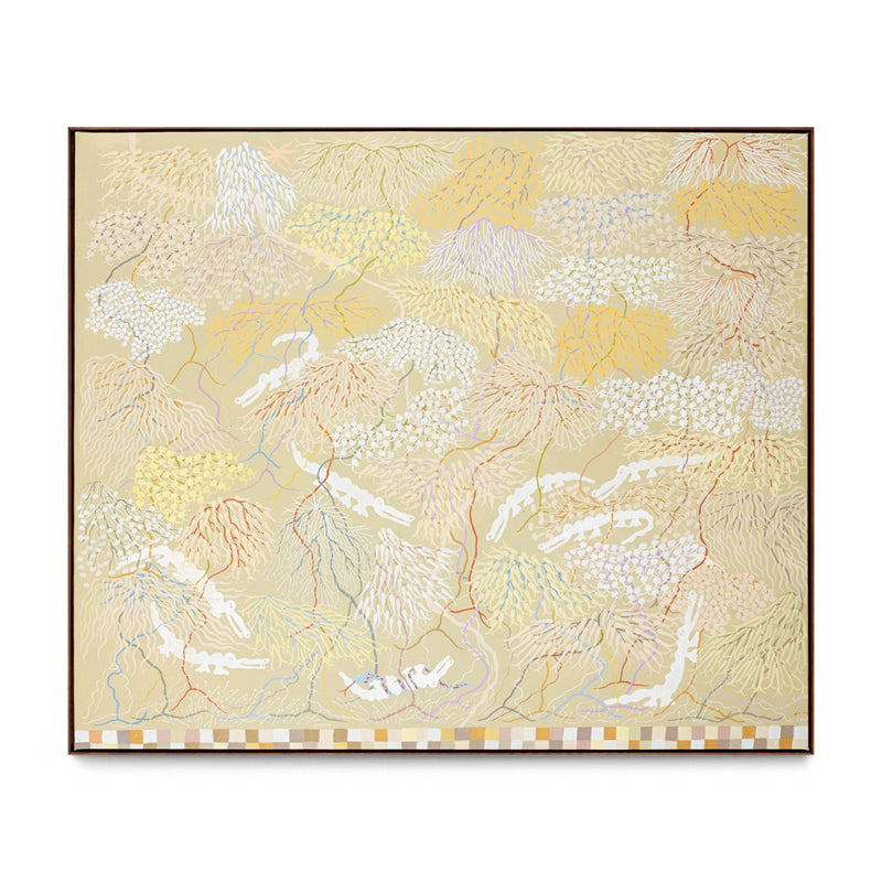 Caimanes Selva Original Pequeña