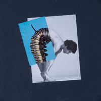 Almost A Butterfly